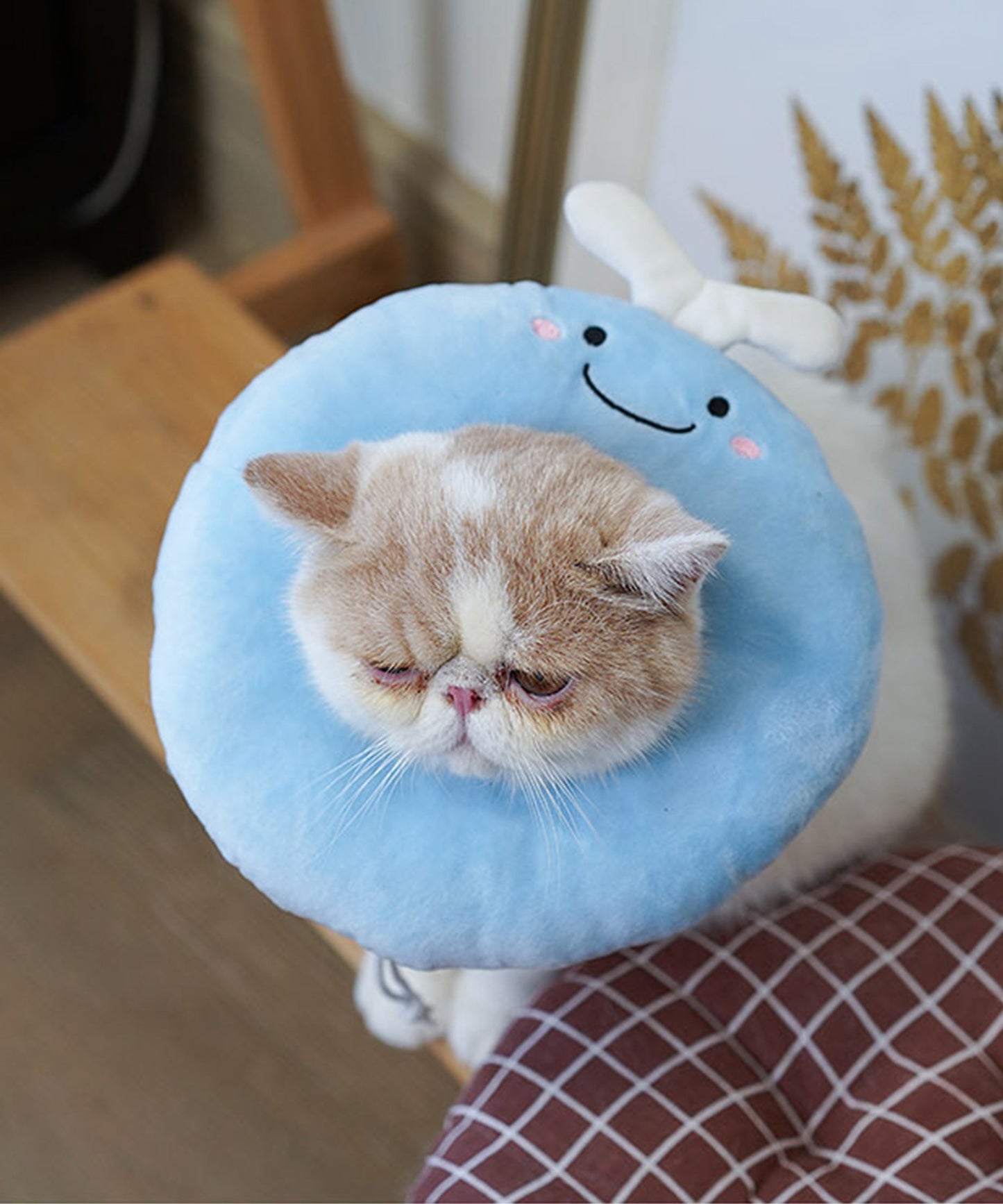 ペット用エリザベスカラー