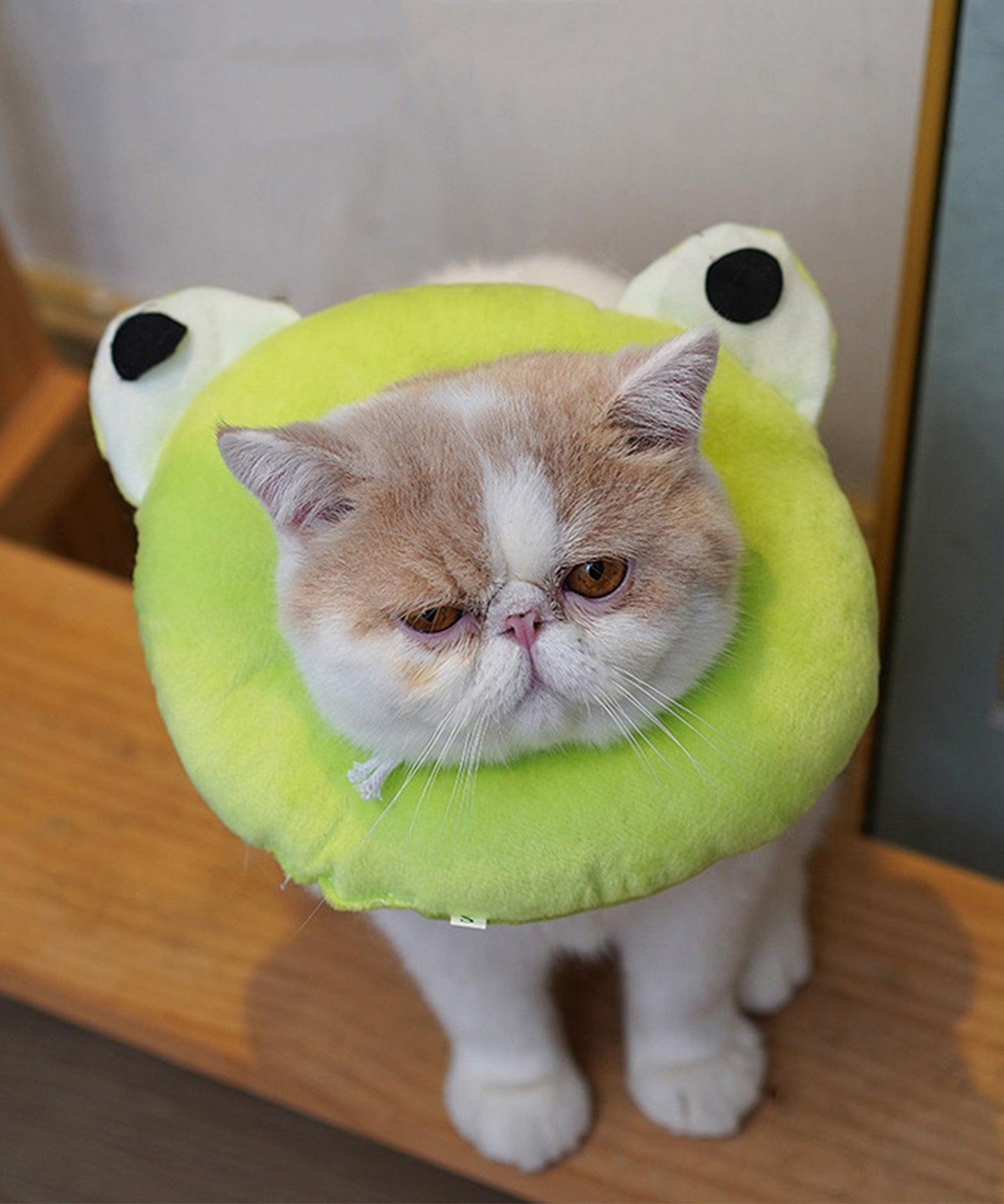 ペット用エリザベスカラー