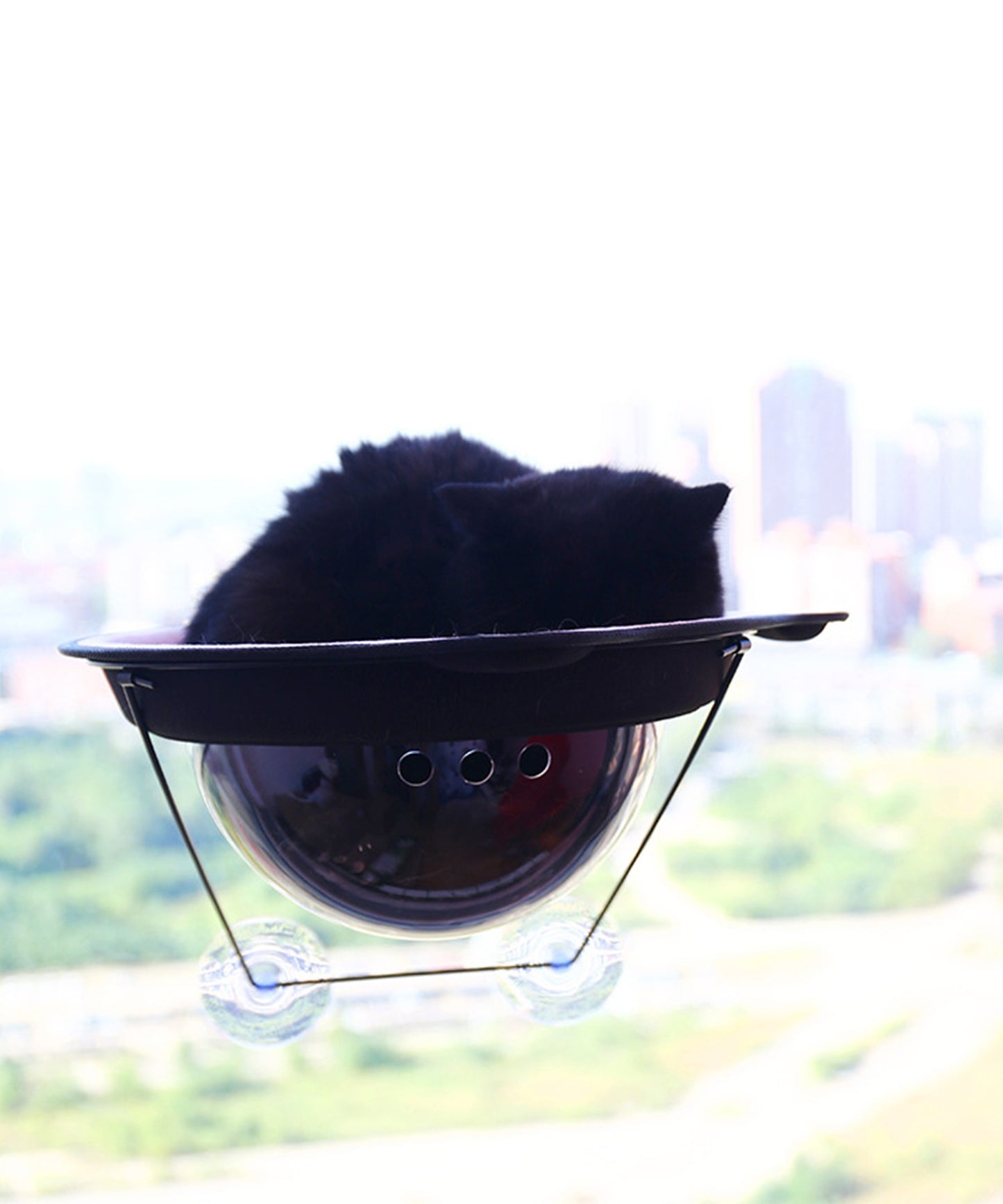cat window bed