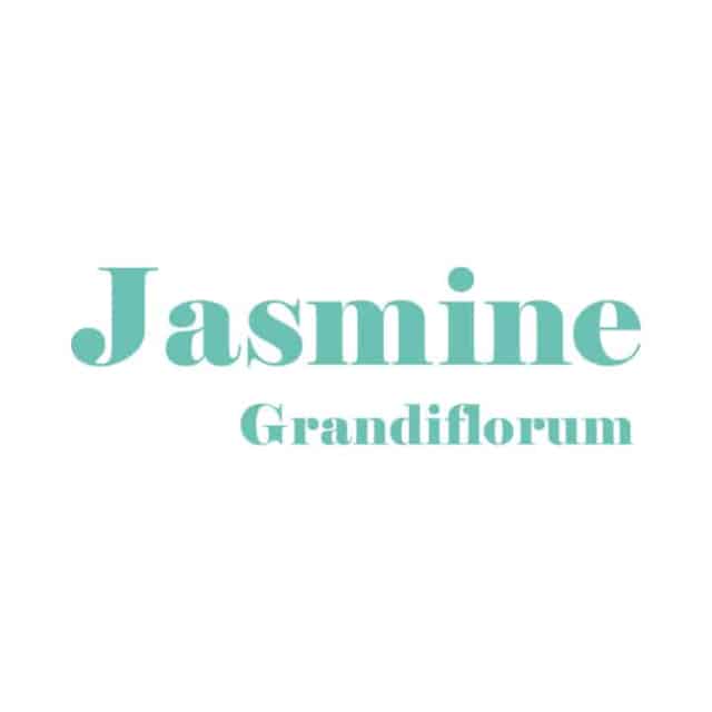 (Jasmine Grandiflorum) ビューティーグッズ