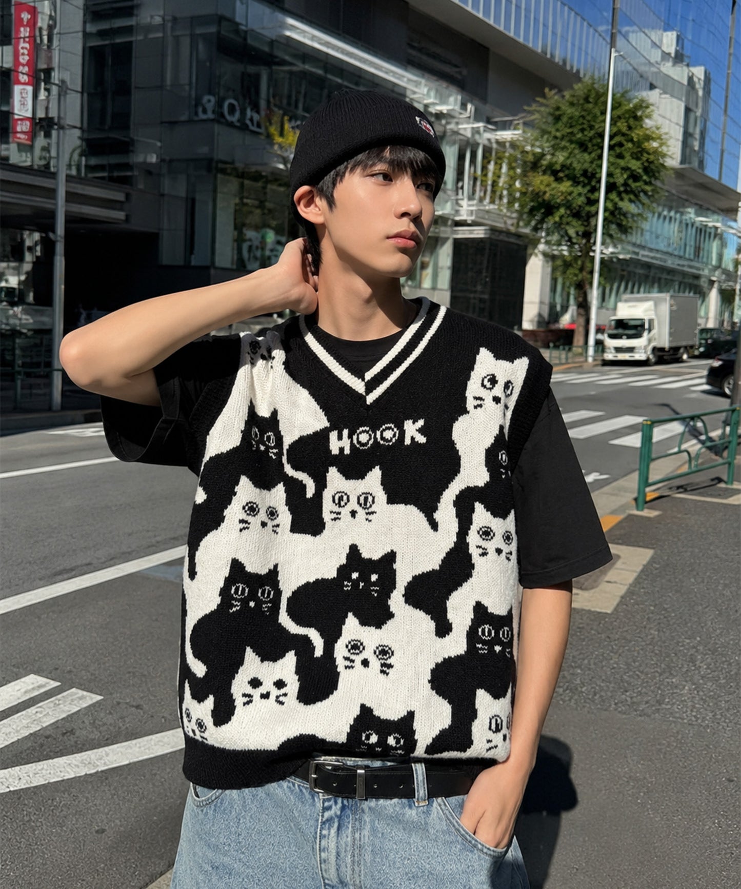 HOOK -original-　「猫何匹いる？」バイカラーニットベスト