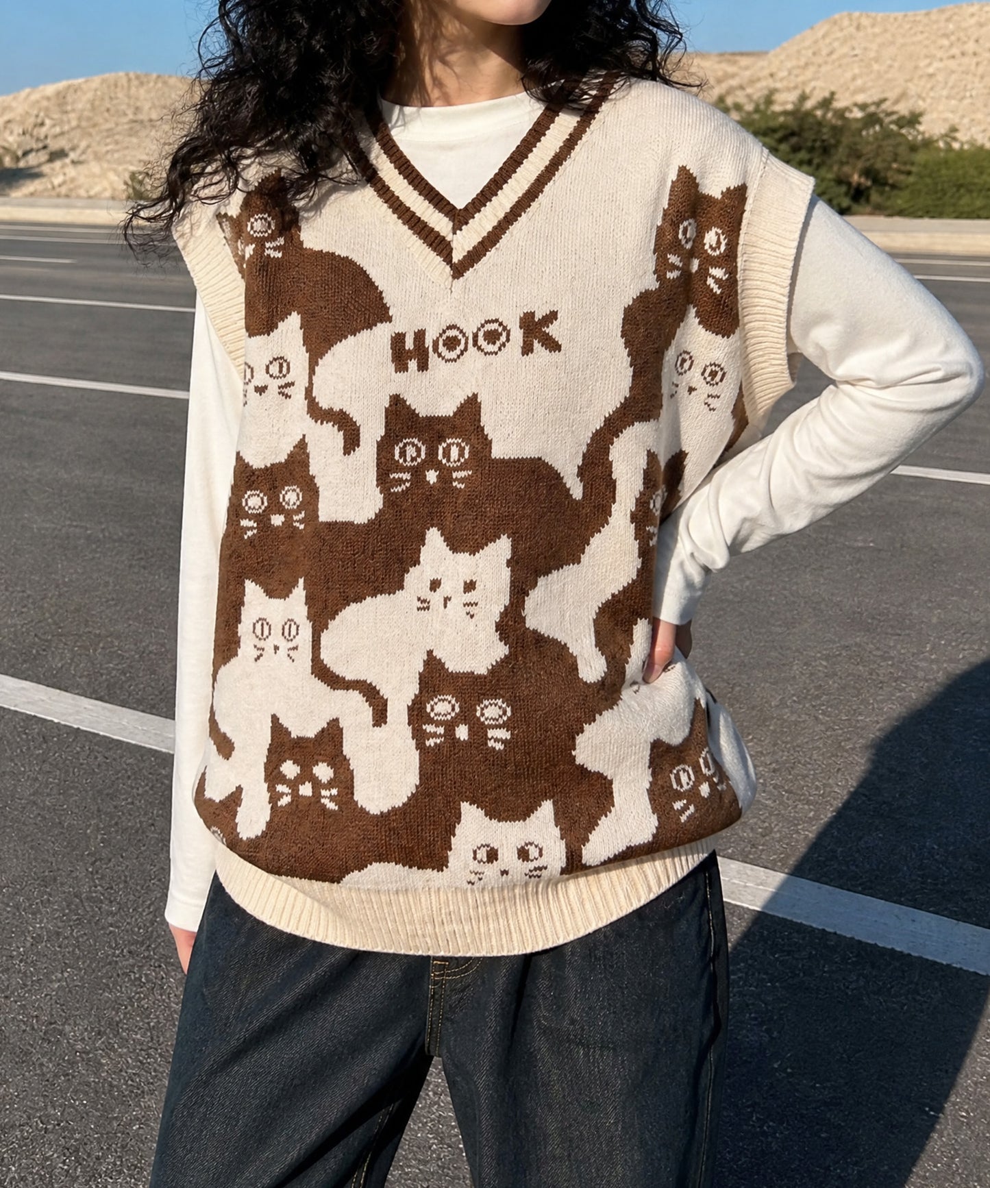 HOOK -original-　「猫何匹いる？」バイカラーニットベスト