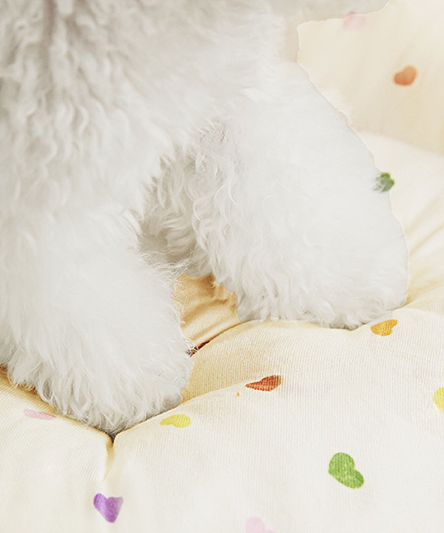 Big Ribbon Pet Retreat Bed