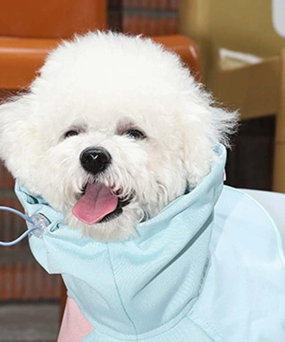 Pet Raincoat