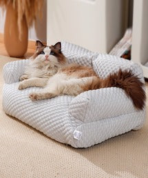 涼しい　ポコポコ　ペットソファー