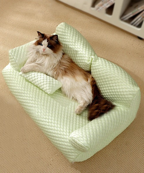 涼しい　ポコポコ　ペットソファー