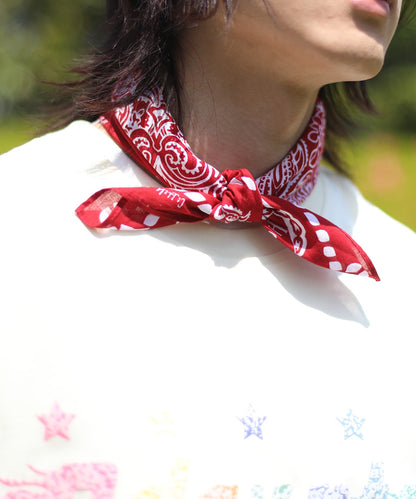 [HOOK -original-] pirates paisley pattern cotton bandana handkerchief