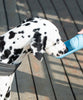アウトドア携帯  犬用水コップ（フィルター付き）