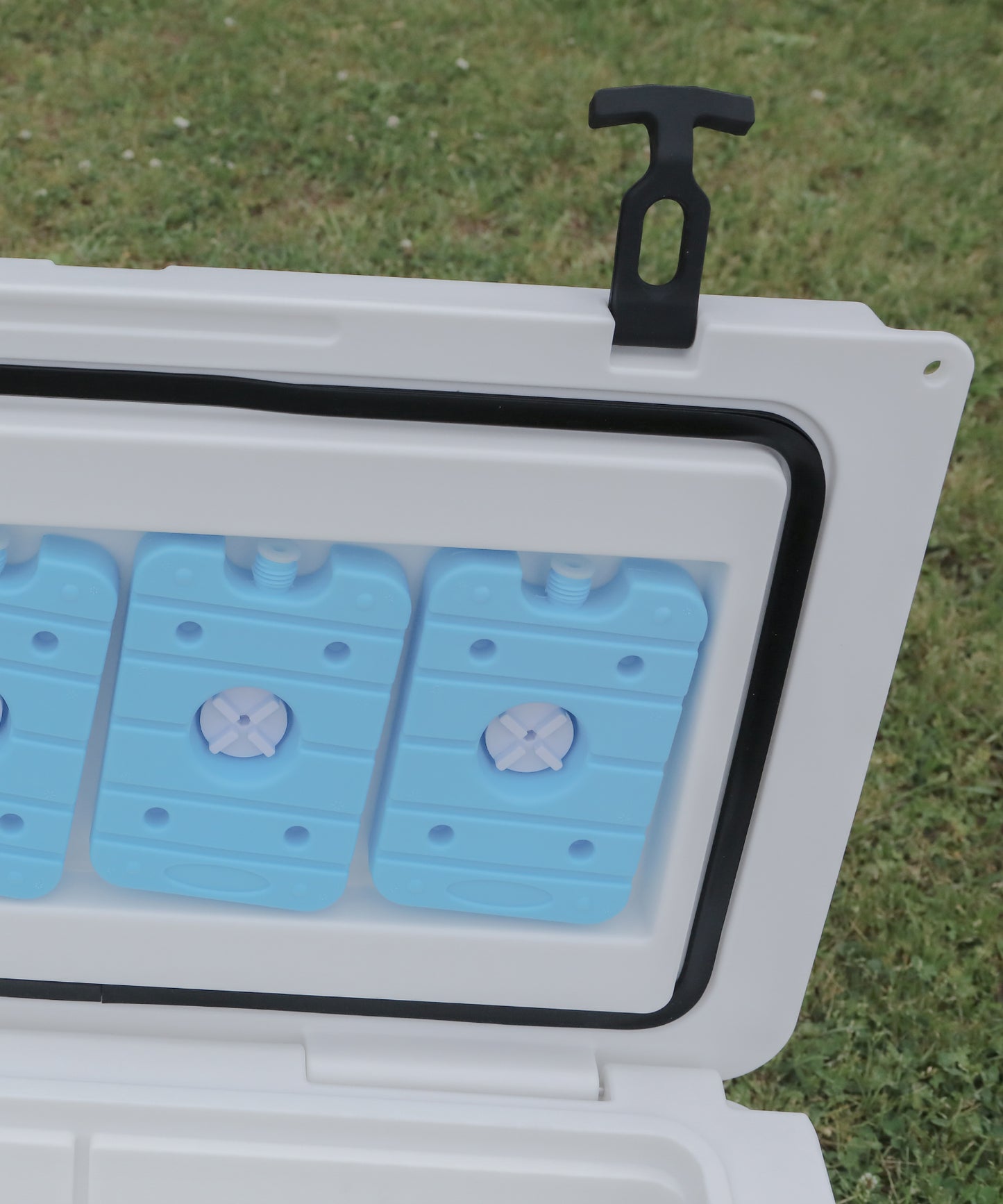 【S'more /Becool cooler box55】移動式クーラーボックス