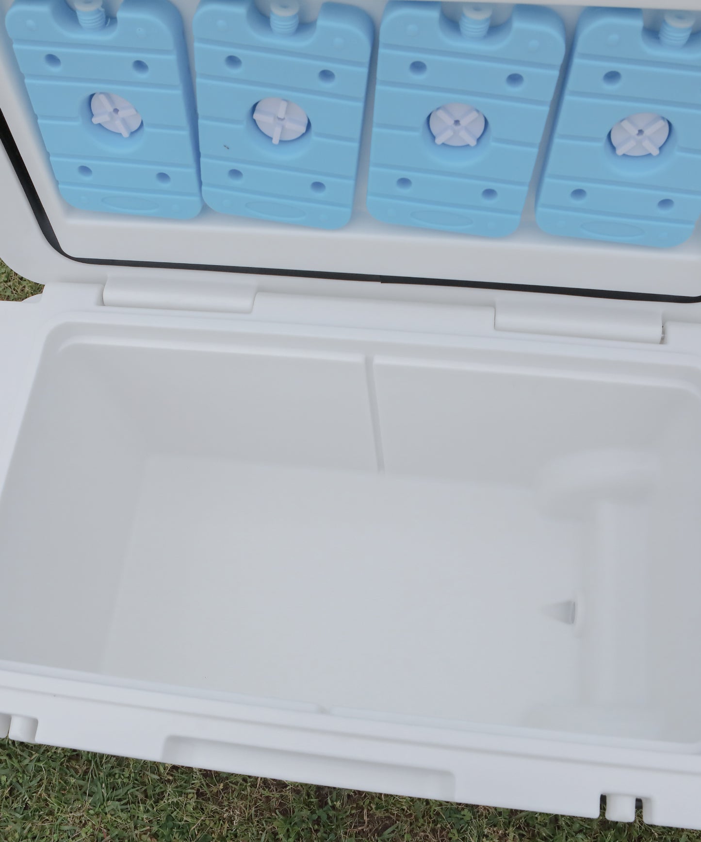 【S'more /Becool cooler box55】移動式クーラーボックス